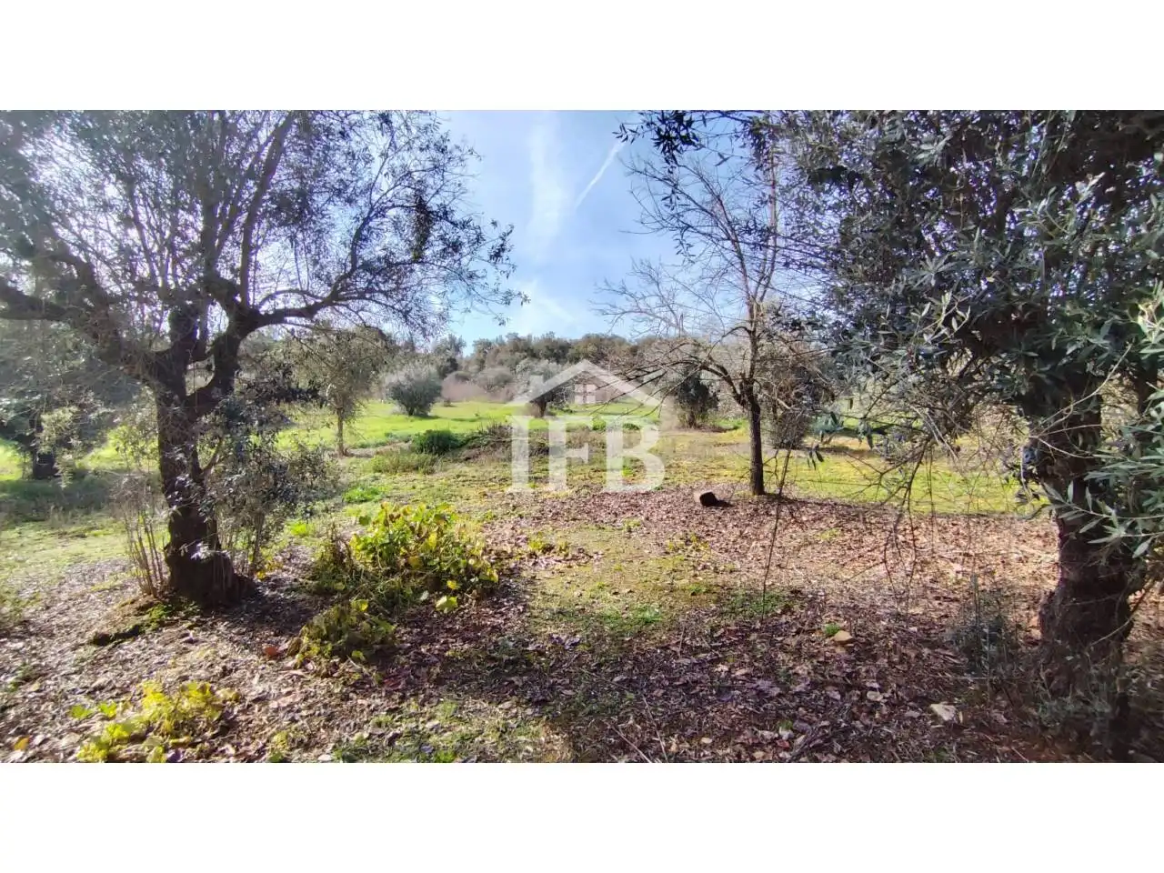 Terreno en venta en La Codosera