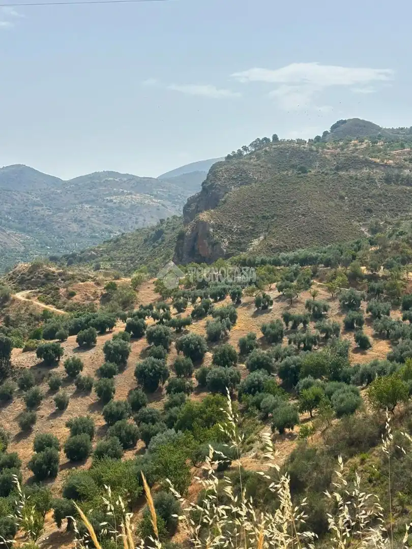 Land for sale in Quéntar