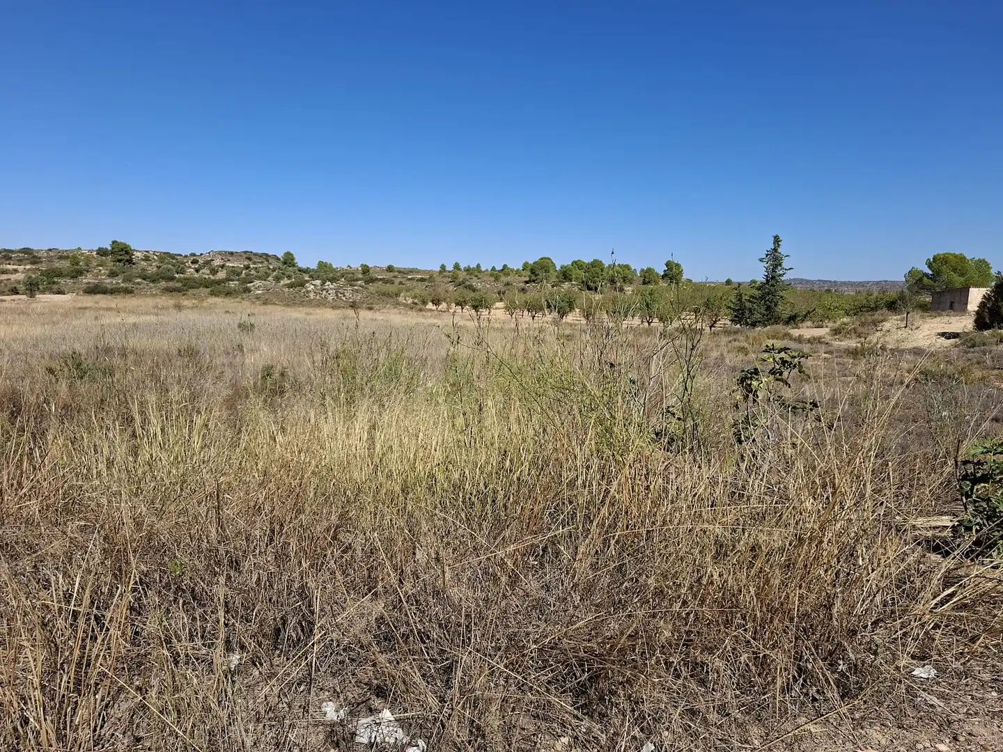 Terreno rustico in vendita a N/A, imagen 8