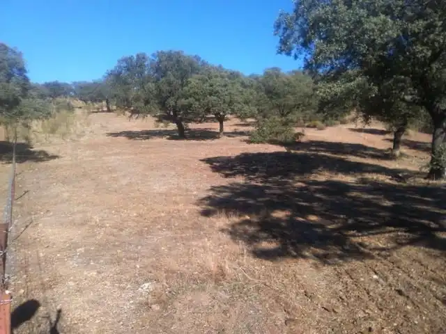Residential land for sale in Espiel, imagen 2