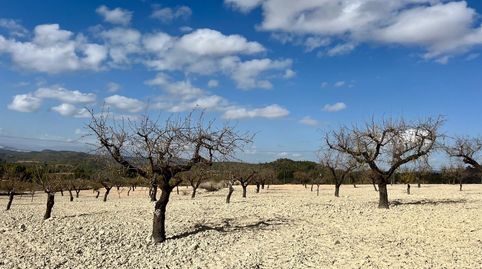 Esta exclusiva parcela de 71.641 m se encuentra en La Copa de Bellas, el paraíso ciclista de España, a 60 km de Murcia capital. Ac, imatge 5