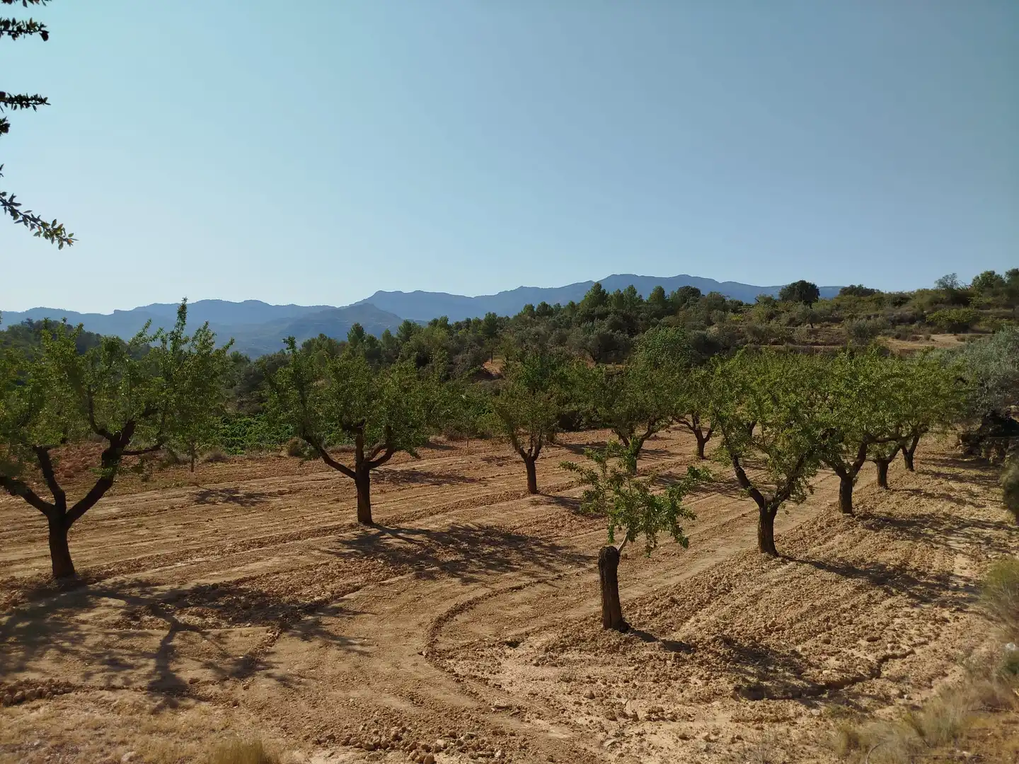 Rural land for sale in Horta de Sant Joan, imagen 12