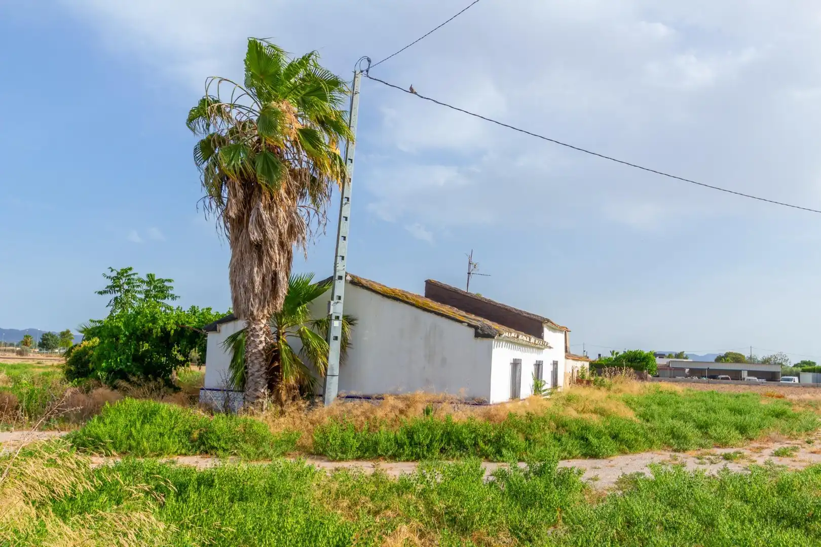 Vista exterior de Residencial en venta en Lorca