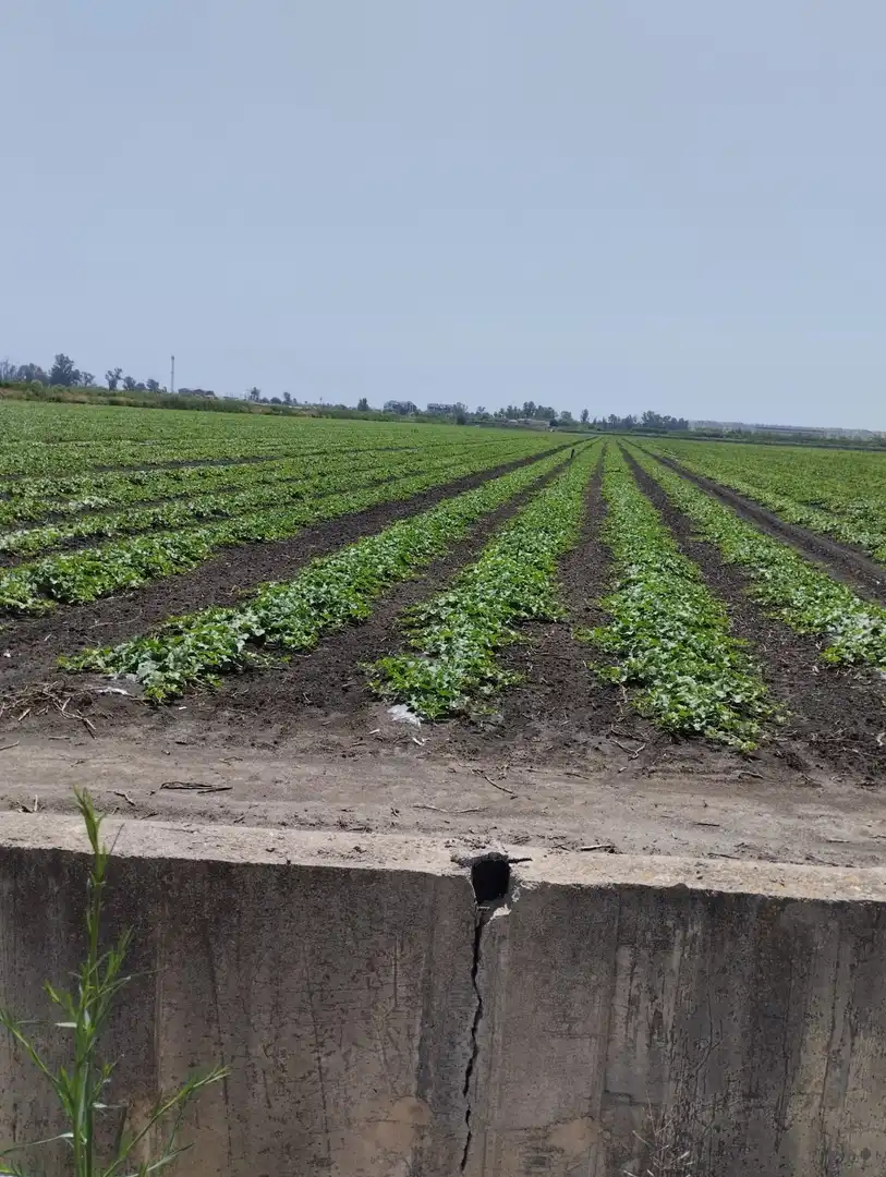 Rural land for sale in N/A, imagen 8