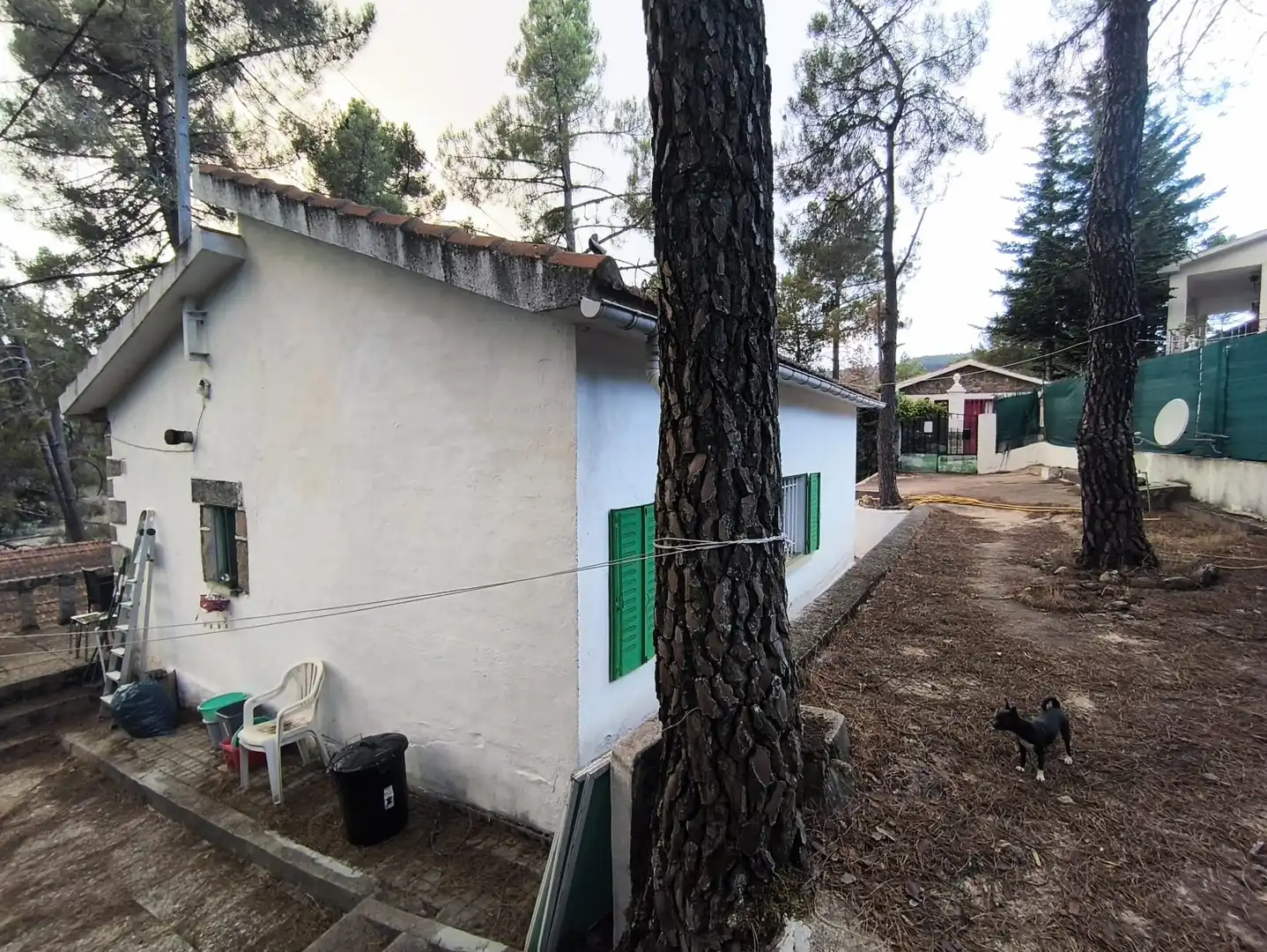 Vista exterior de Casa o chalet en venta en Santa María de la Alameda con Jardín privado, Terraza y Trastero