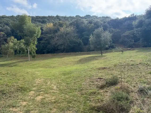 Wohnbaugrundstück zum Verkauf in Carrer Joan Portabella 1c, imagen 13