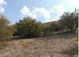 Terreni e lotti in vendita a Alcaudete, imagen 2