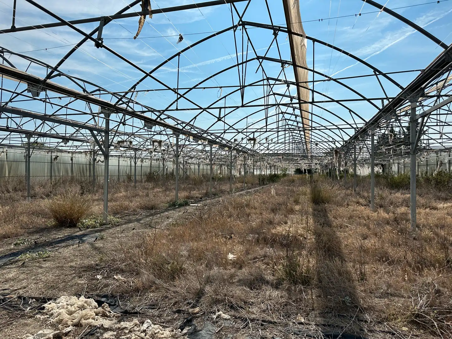 Terrenos y solares en venta en Úbeda, imagen 11