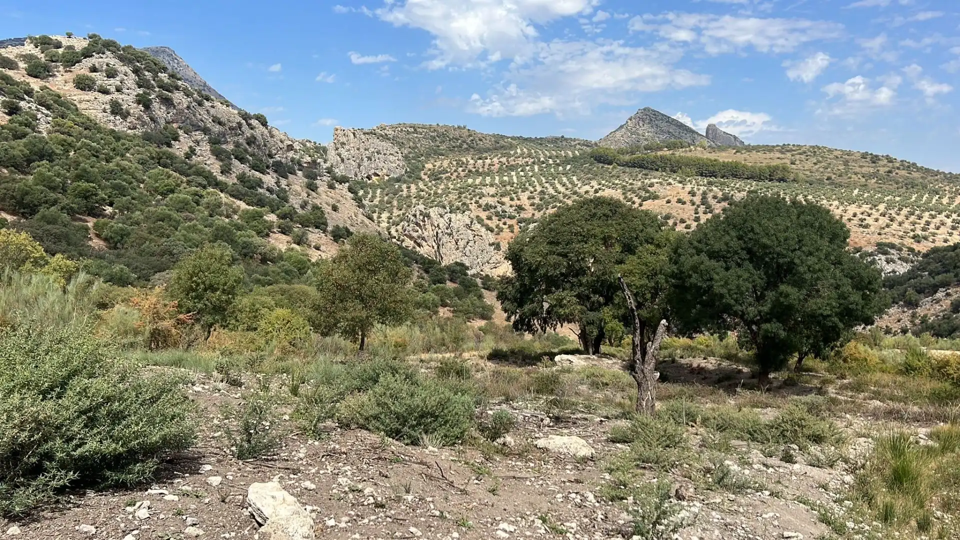 Terreno en venta en Jaén
