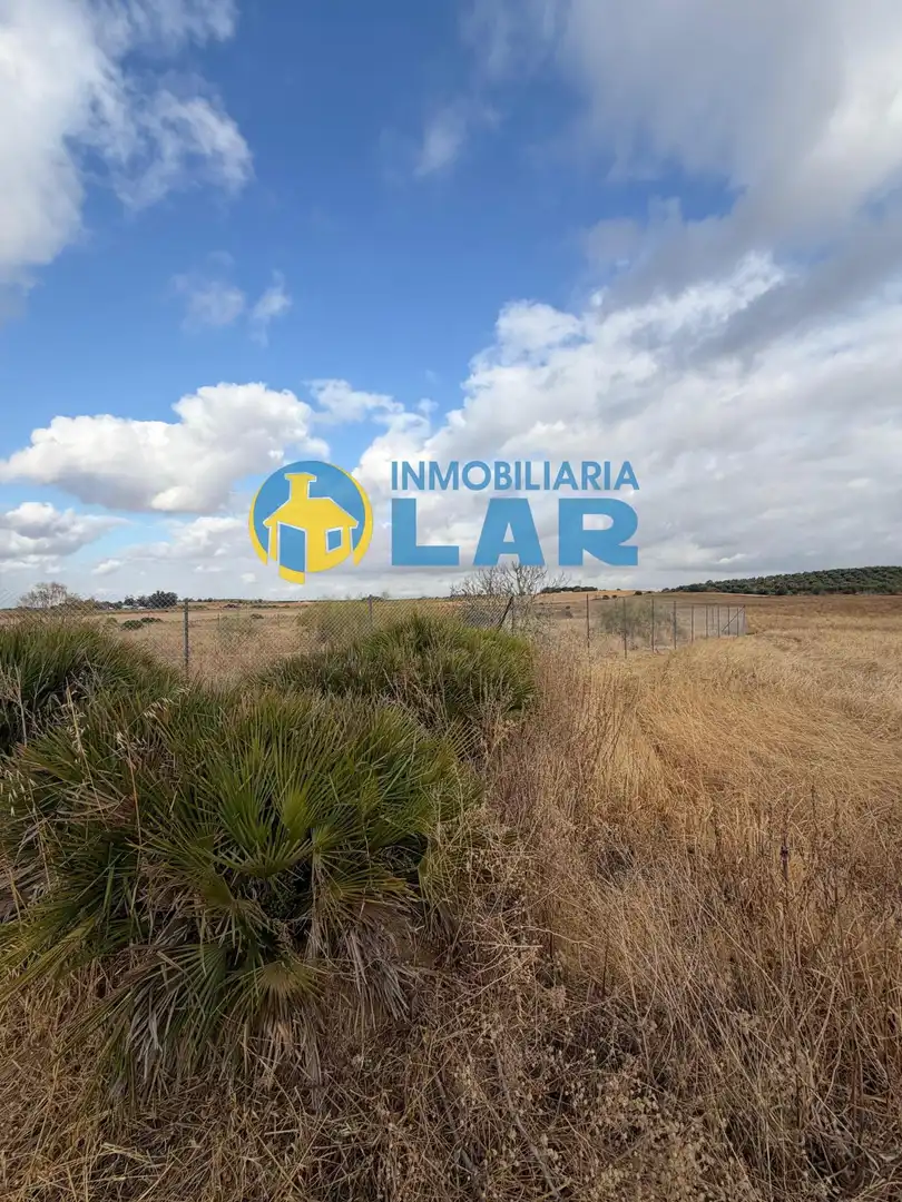 Land for sale in Niebla