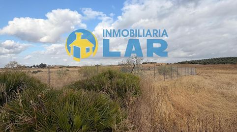 Photo 5 of Land for sale in Niebla, Huelva