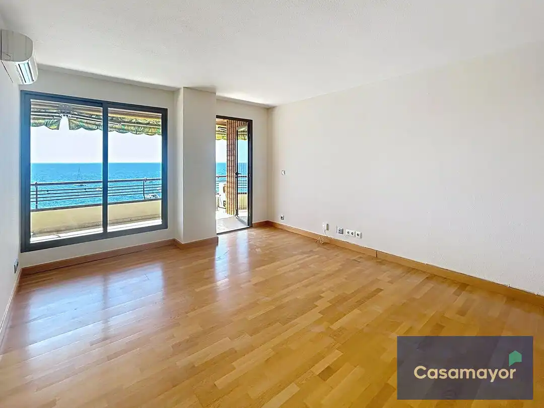 Living room of Flat for rent in Alicante / Alacant  with Air Conditioner, Heating and Private garden