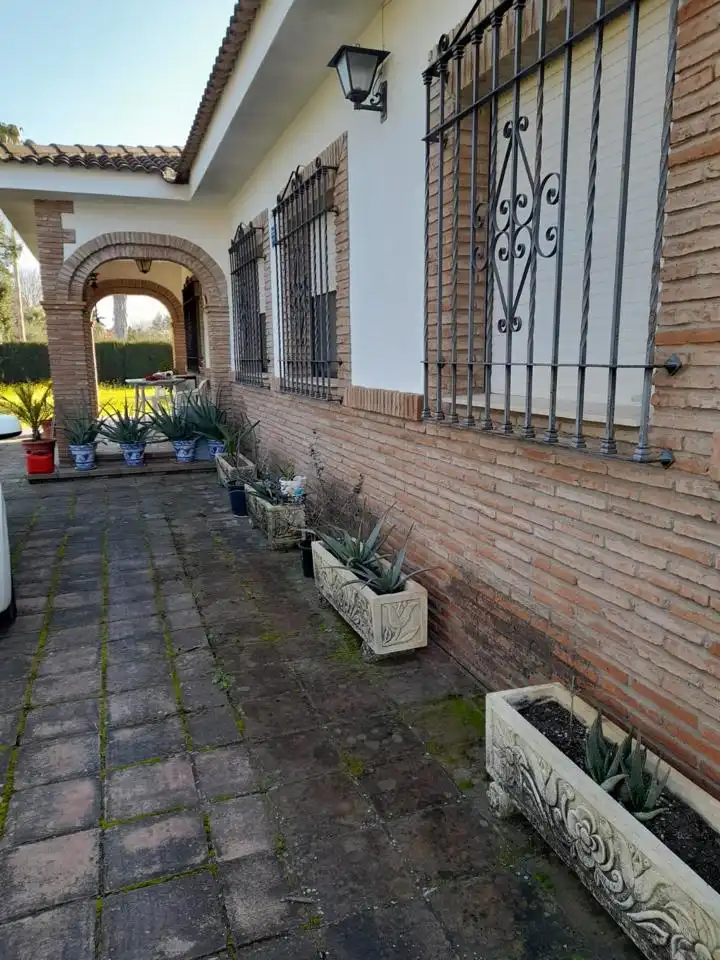 Jardín de Casa o chalet en venta en Córdoba con Jardín privado y Piscina