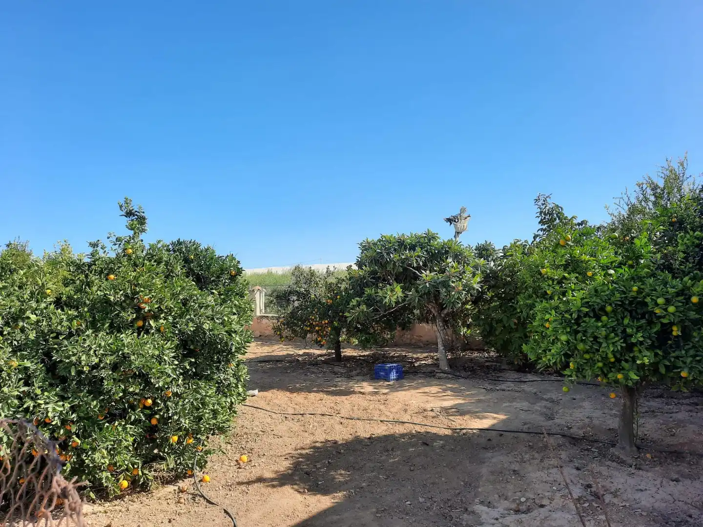 Casa in affitto a Campo de Murcia, imagen 22