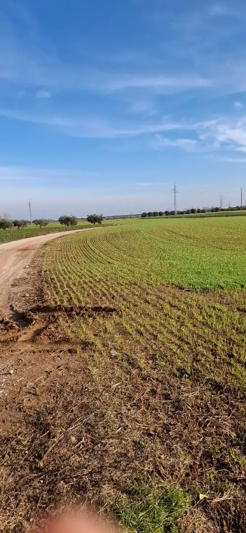 Terreno en venta en Vilafant