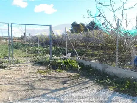 Terreny rústic en venda a Alguazas, imagen 6