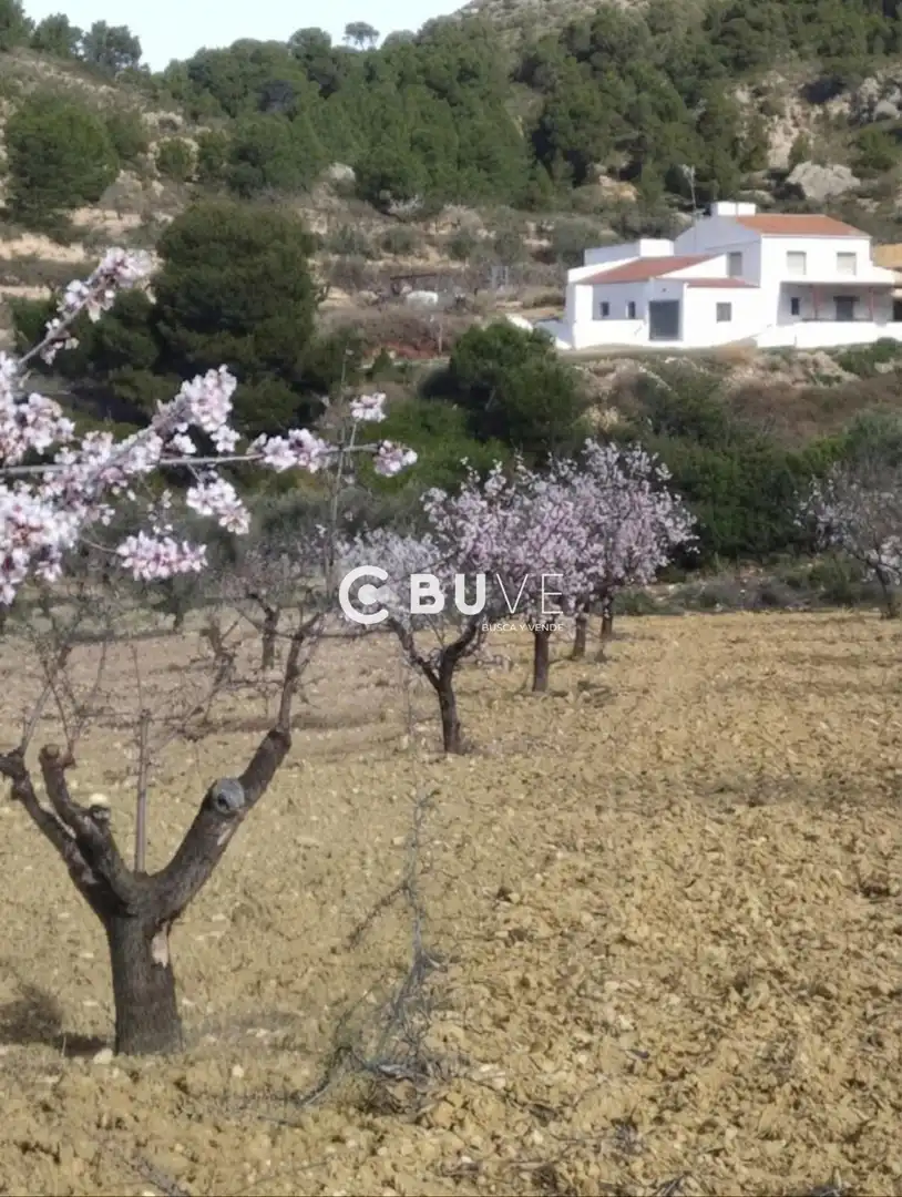 Rural land for sale in 22 Parcela 5 Cantalar, imagen 3