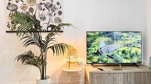 Photo 3 of Flat to rent in Feria, Sevilla