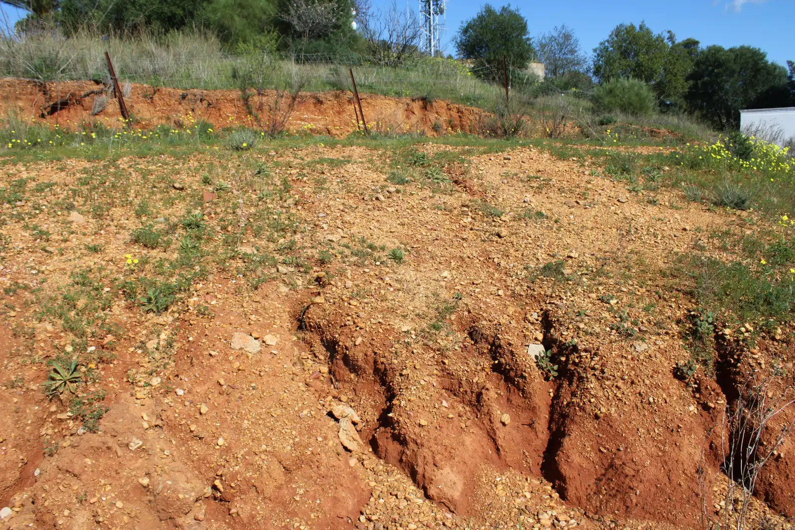 Terreni e lotti in vendita a Ayamonte ciudad, imagen 9