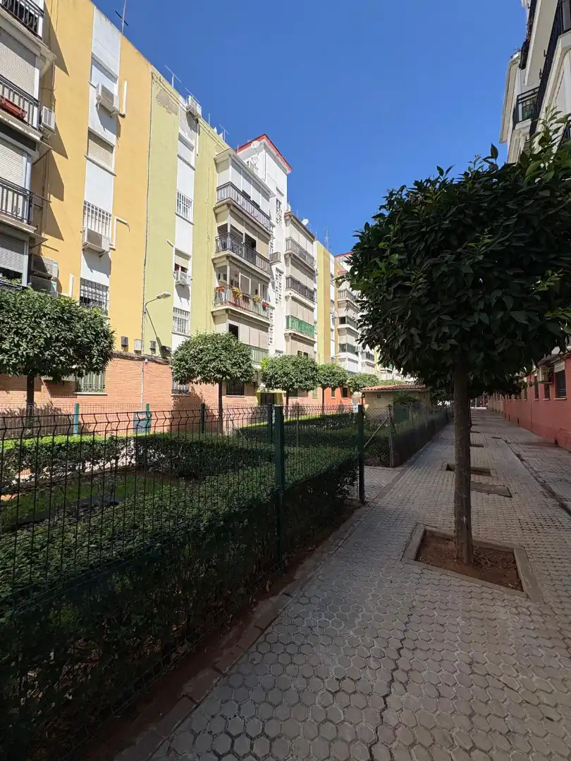 Exterior view of Flat for sale in Sevilla  with Terrace
