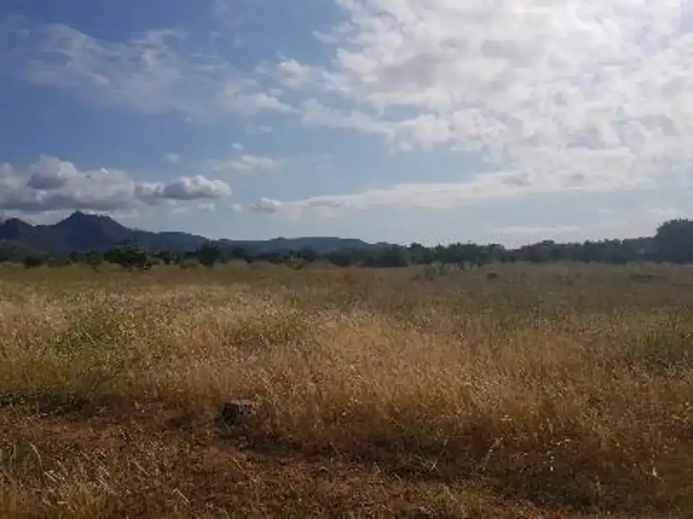 Residencial en venda en Benicasim / Benicàssim