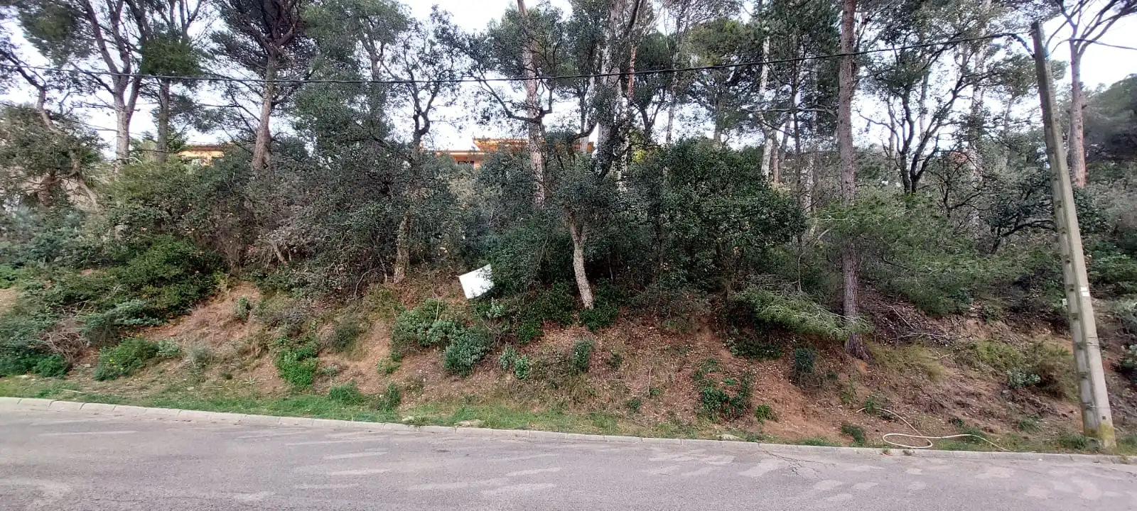 Terreny residencial en venda a Tamariu, imagen 17