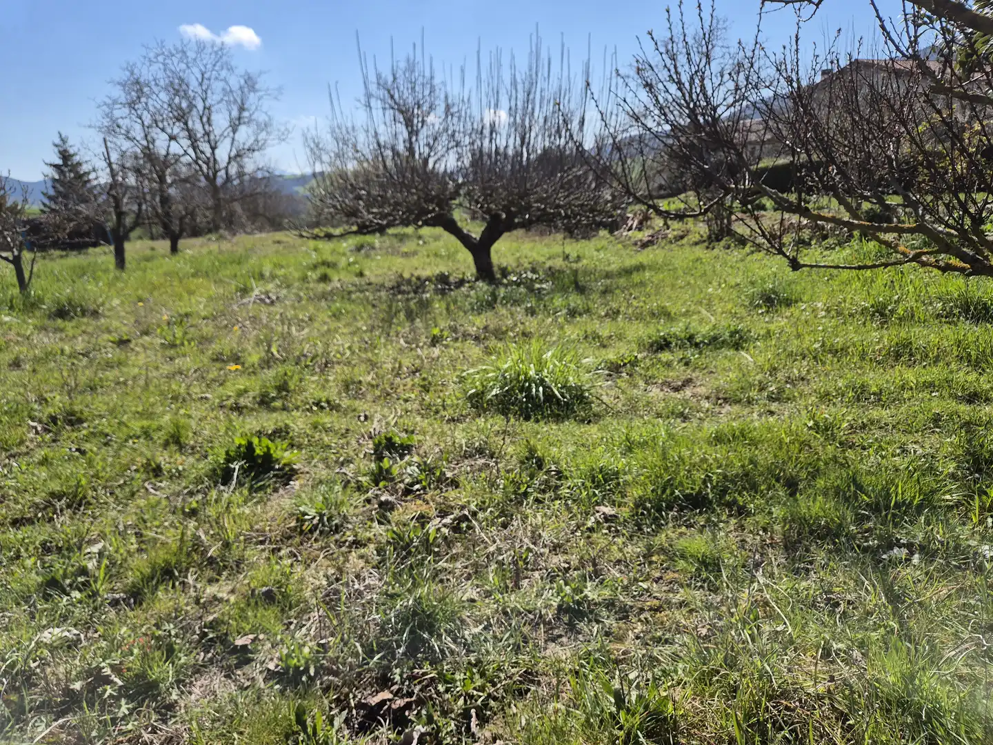 Residential land for sale in Calle San Juan 34, imagen 4