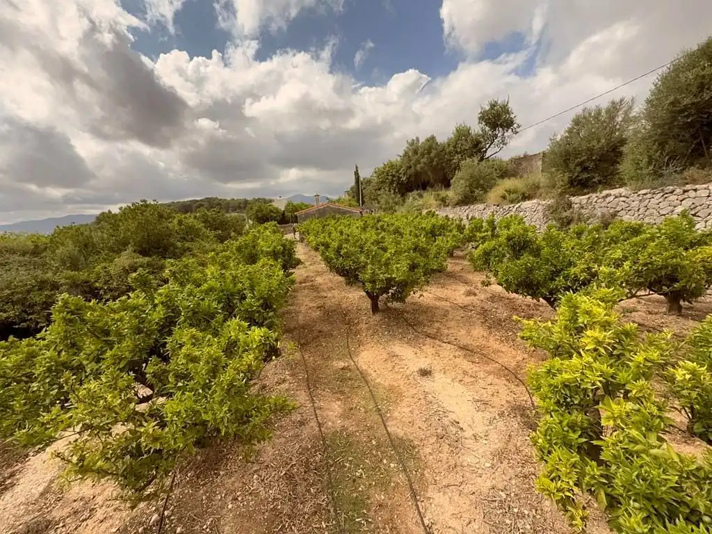 Finca rústica en venda en Sanet y Negrals amb Calefacció i Jardí privat