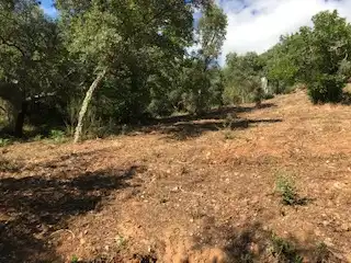 Terreni e lotti in vendita a Cortegana, imagen 16