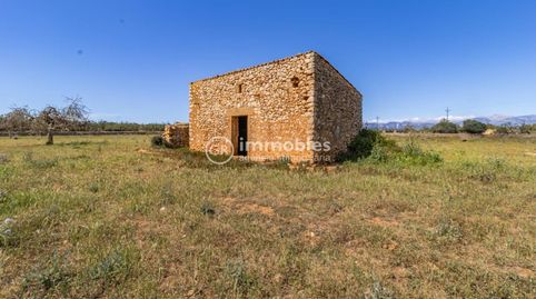 Terreno  rústico edificable en Sineu, immagine 2