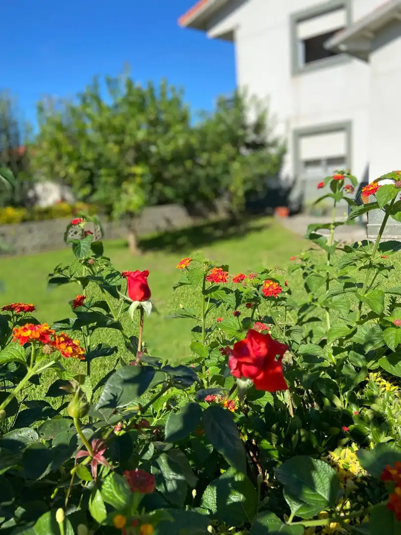 Jardí de Casa o xalet en venda en Piélagos amb Calefacció, Jardí privat i Terrassa