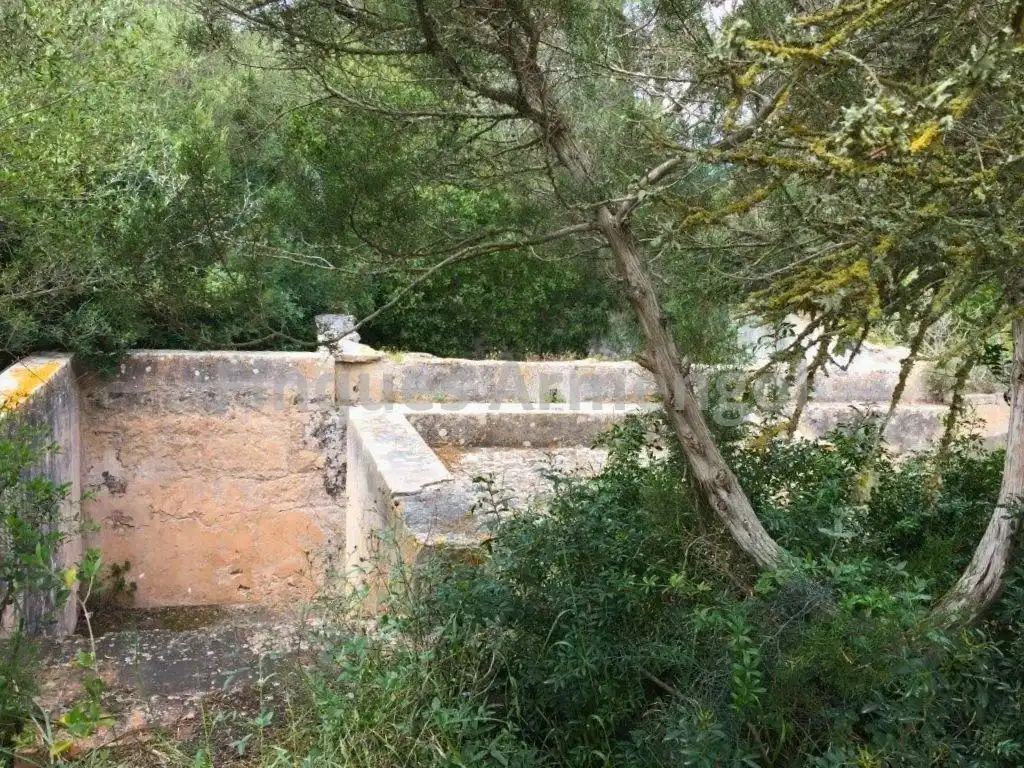 Casa amb jardí en venda a Ciutadella, imagen 35