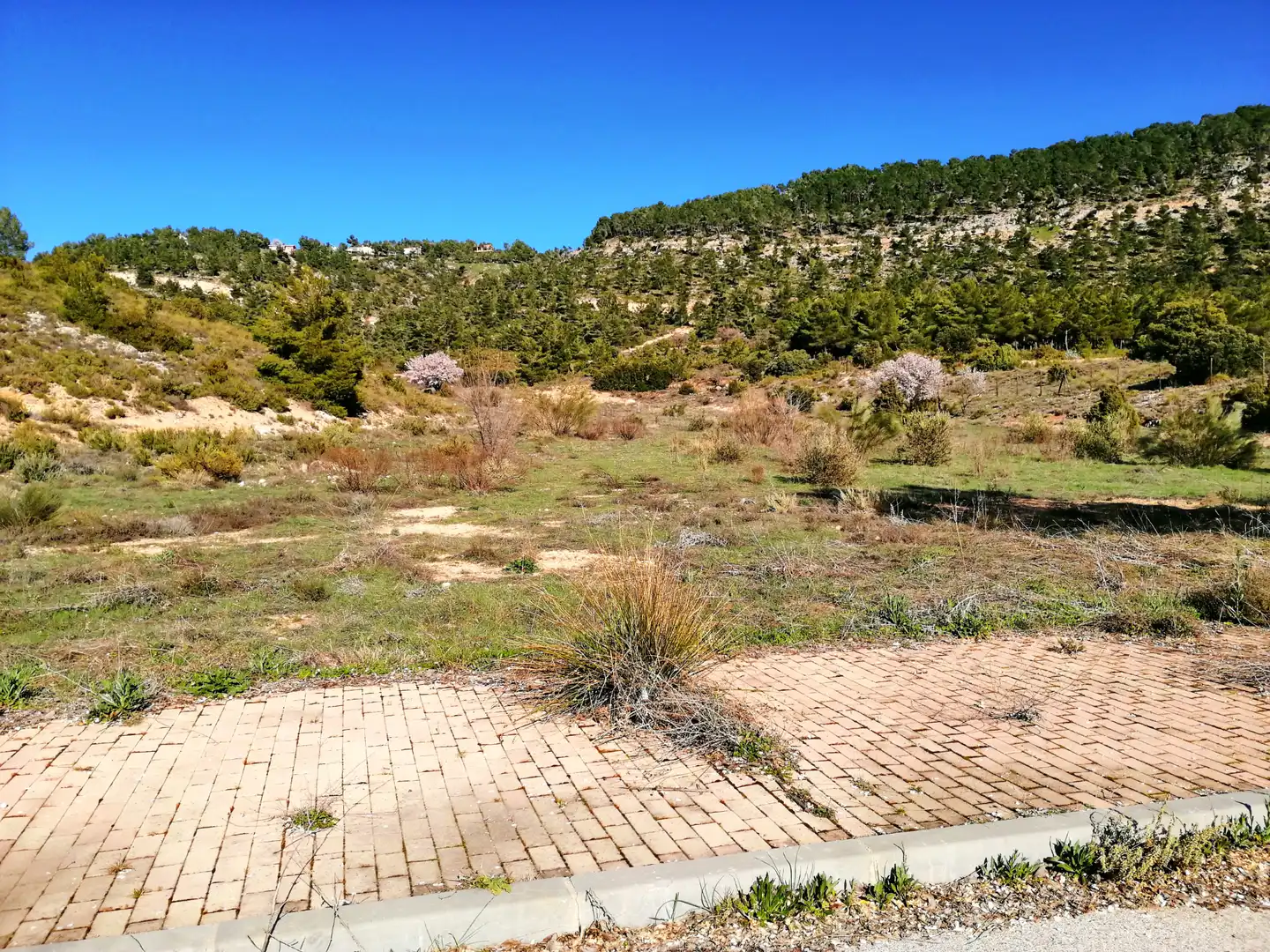 Terreno en venta en Albalate de Zorita