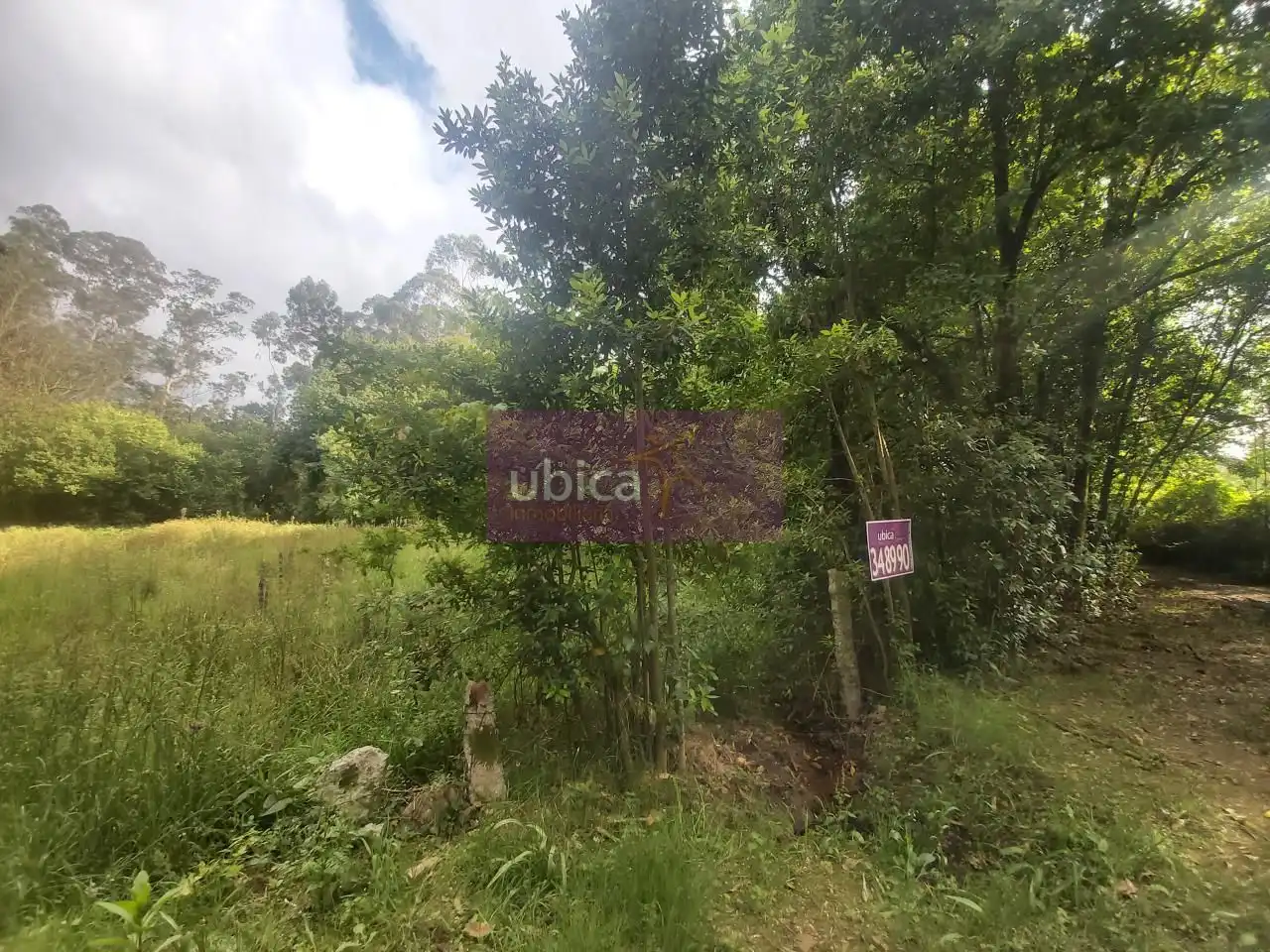 Lands and plots for sale in Salceda de Caselas, imagen 10