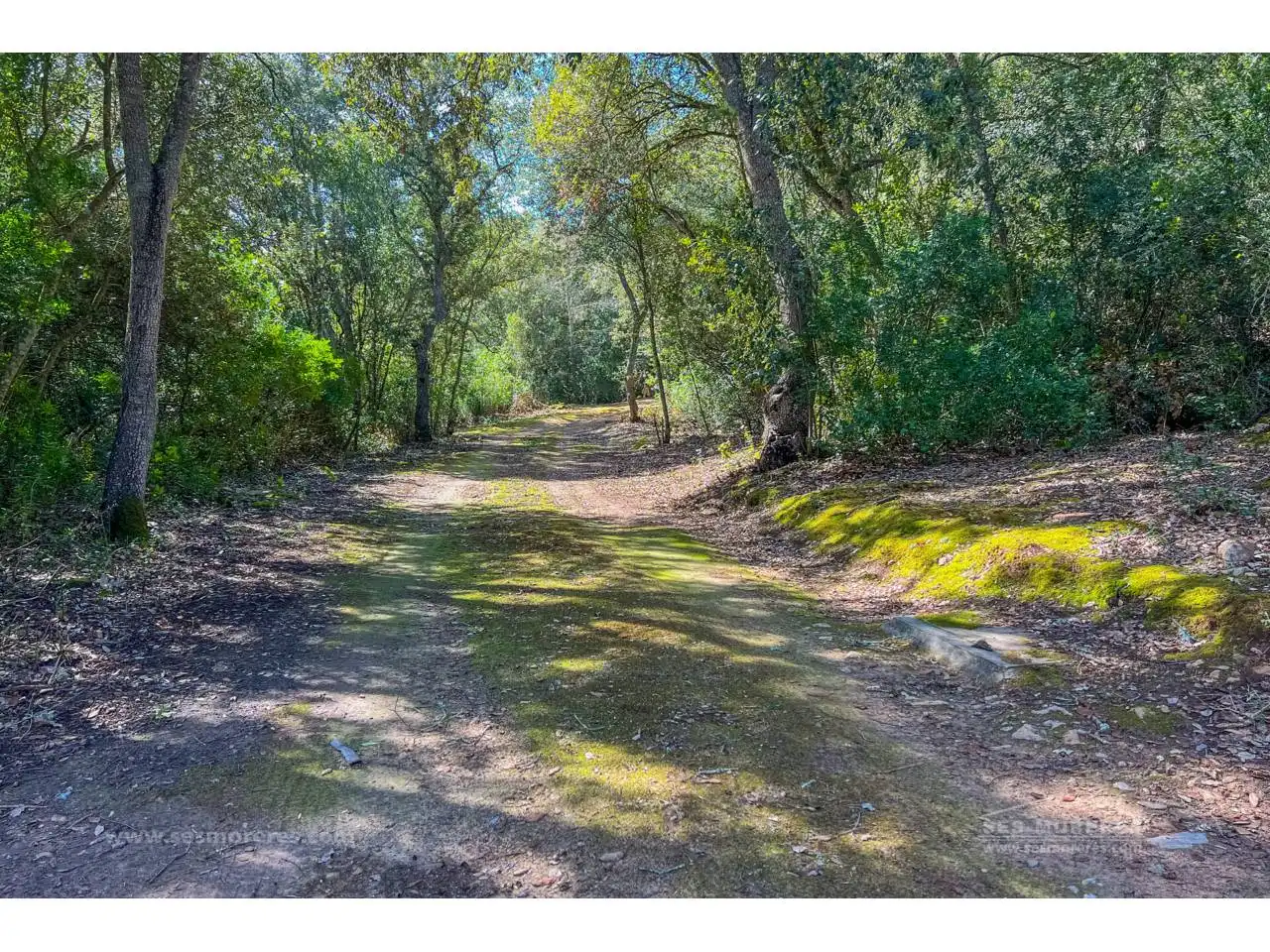 Finca rústica en venda en Es Mercadal amb Jardí privat i Terrassa