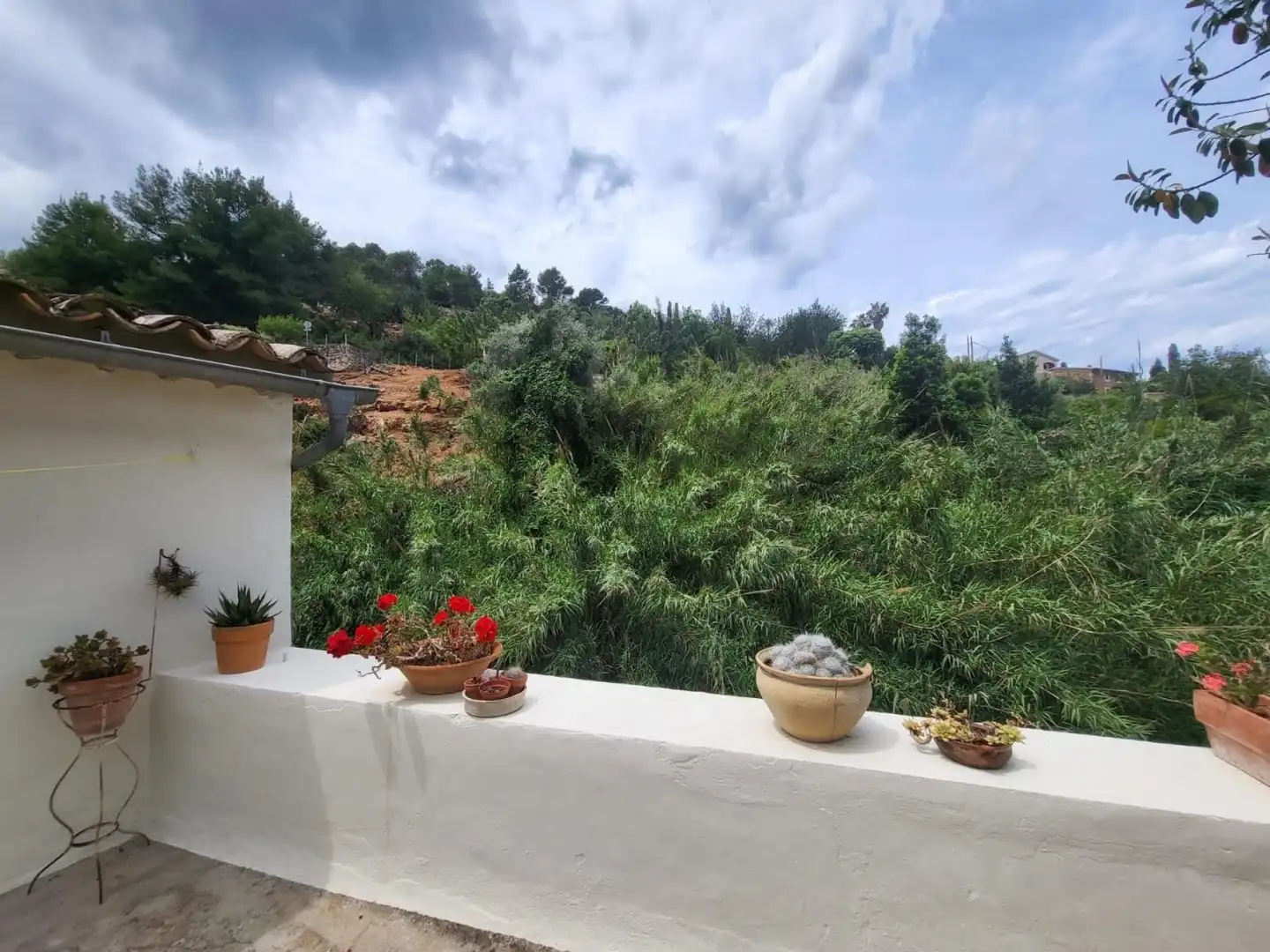 Terrassa de Finca rústica de lloguer en Sóller amb Calefacció