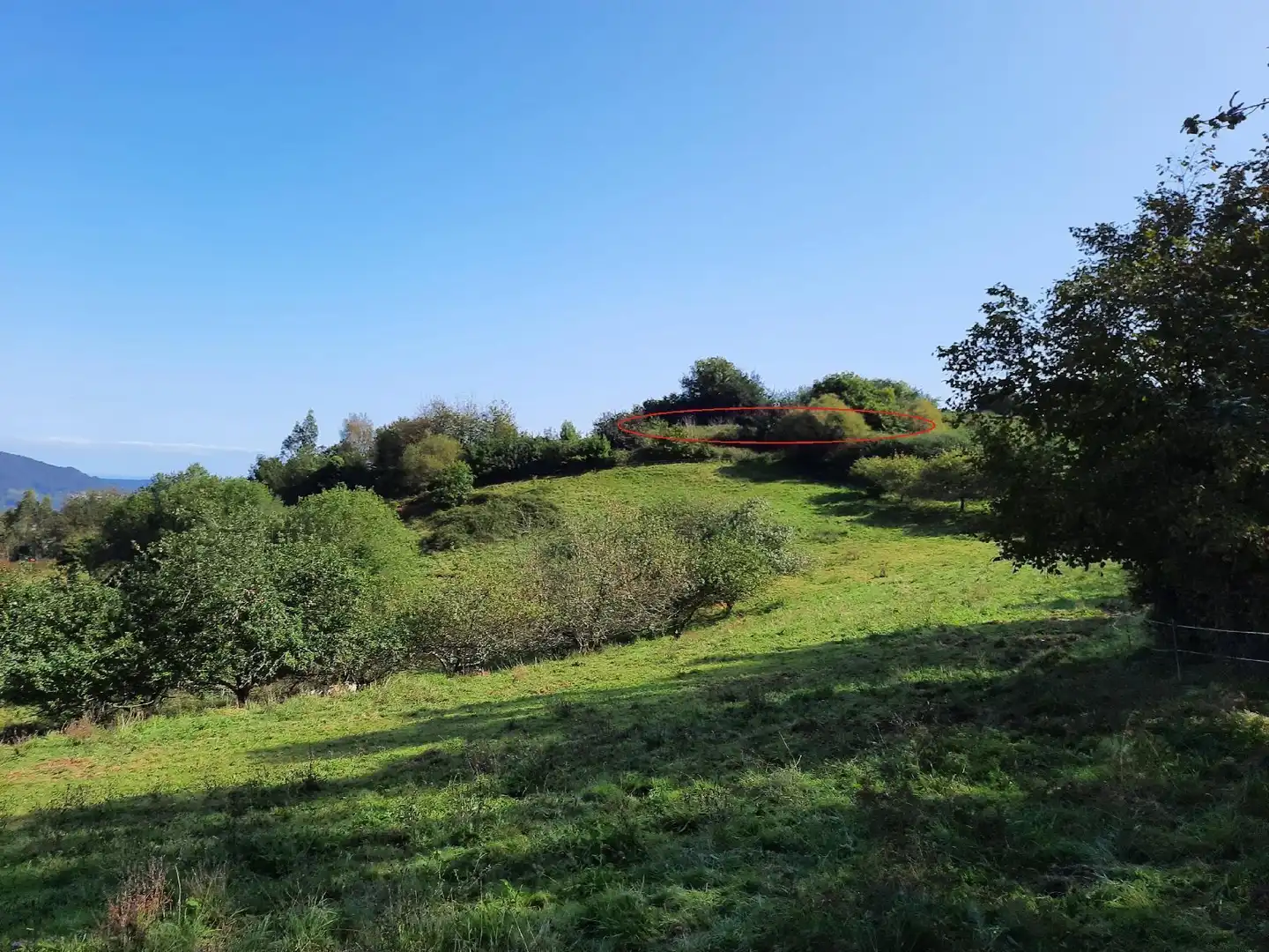 Residencial en venta en Villaviciosa