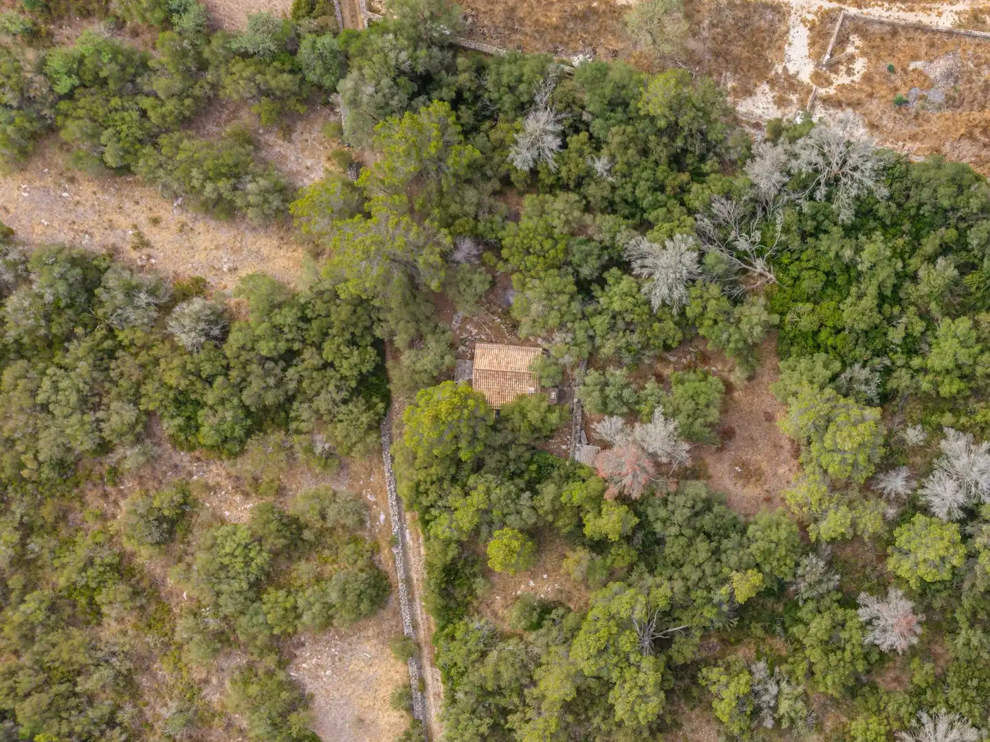 Finca rústica en venda en Petra amb Jardí privat, Terrassa i Traster