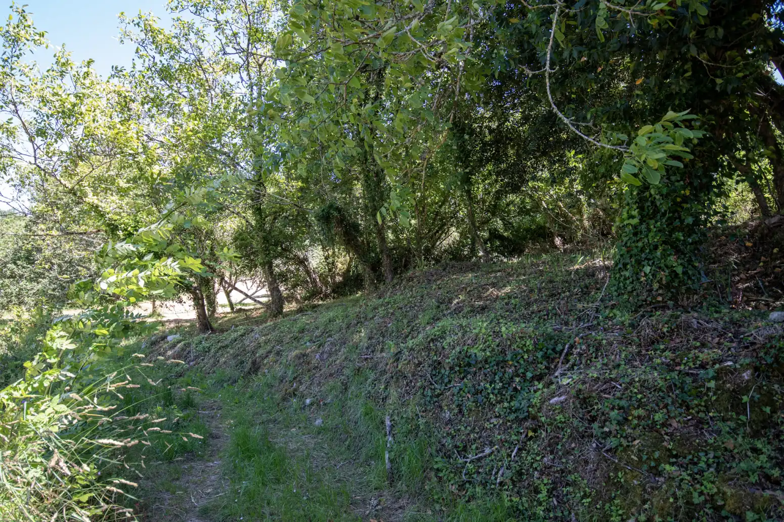 Terreno en venta en Villaviciosa