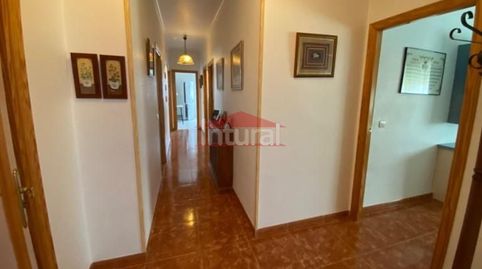 Photo 3 of Houses for sale in Pedanías - Extrarradio, Albacete Capital