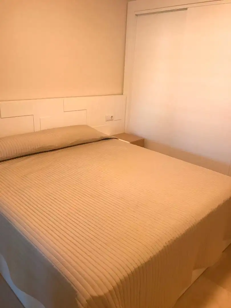 Apartamento con terraza en alquiler en Urbanizacion los Flamingos 33, imagen 11