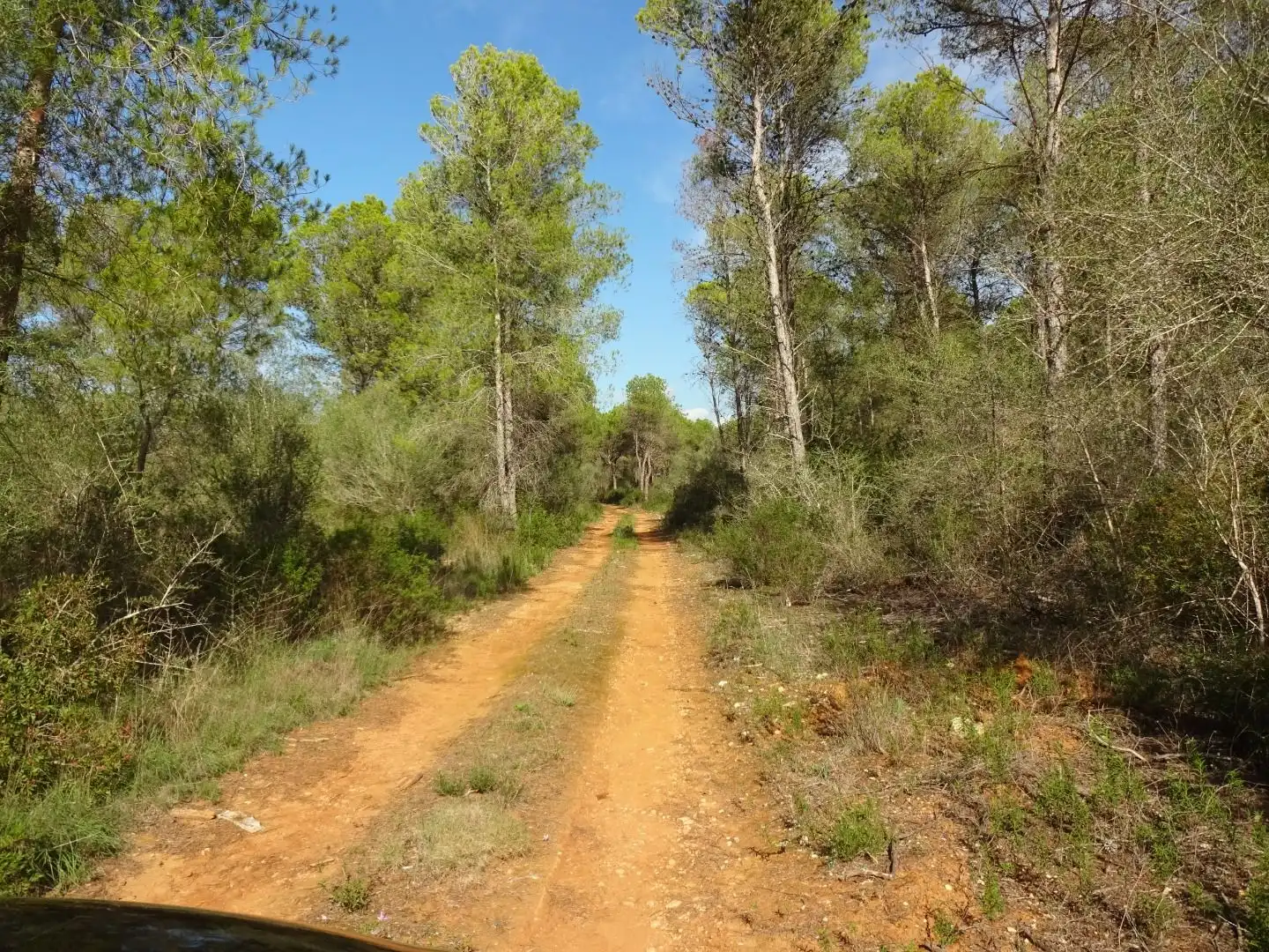 Finca rústica en venta en  Palma de Mallorca