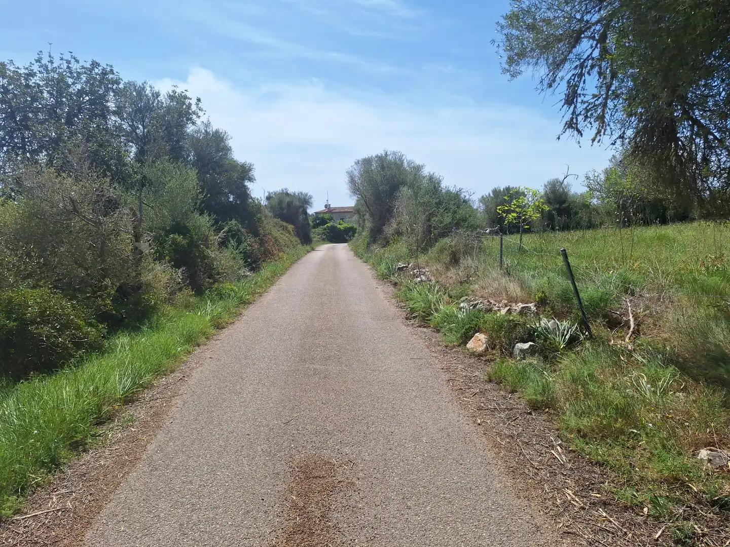 Rural land for sale in Sant Llorenç des Cardassar, imagen 2