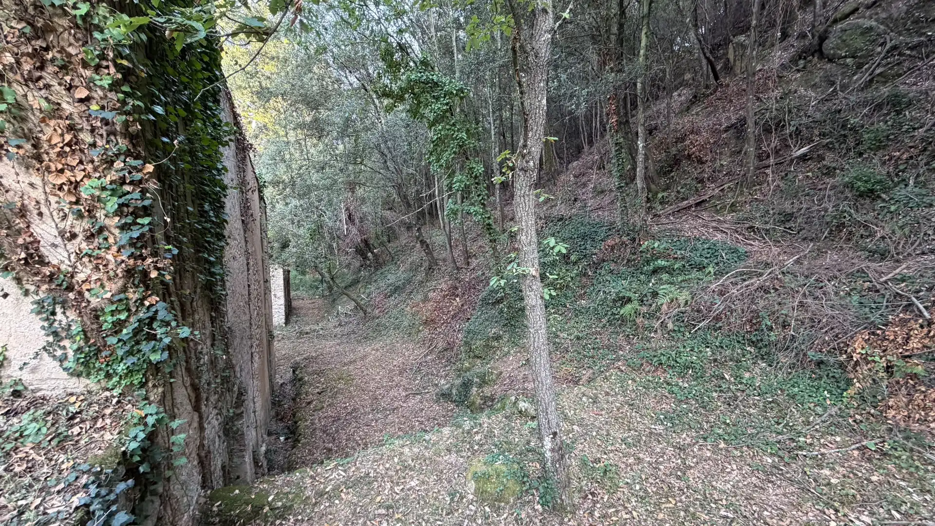 Casa rustica in vendita a Riells i Viabrea, imagen 7
