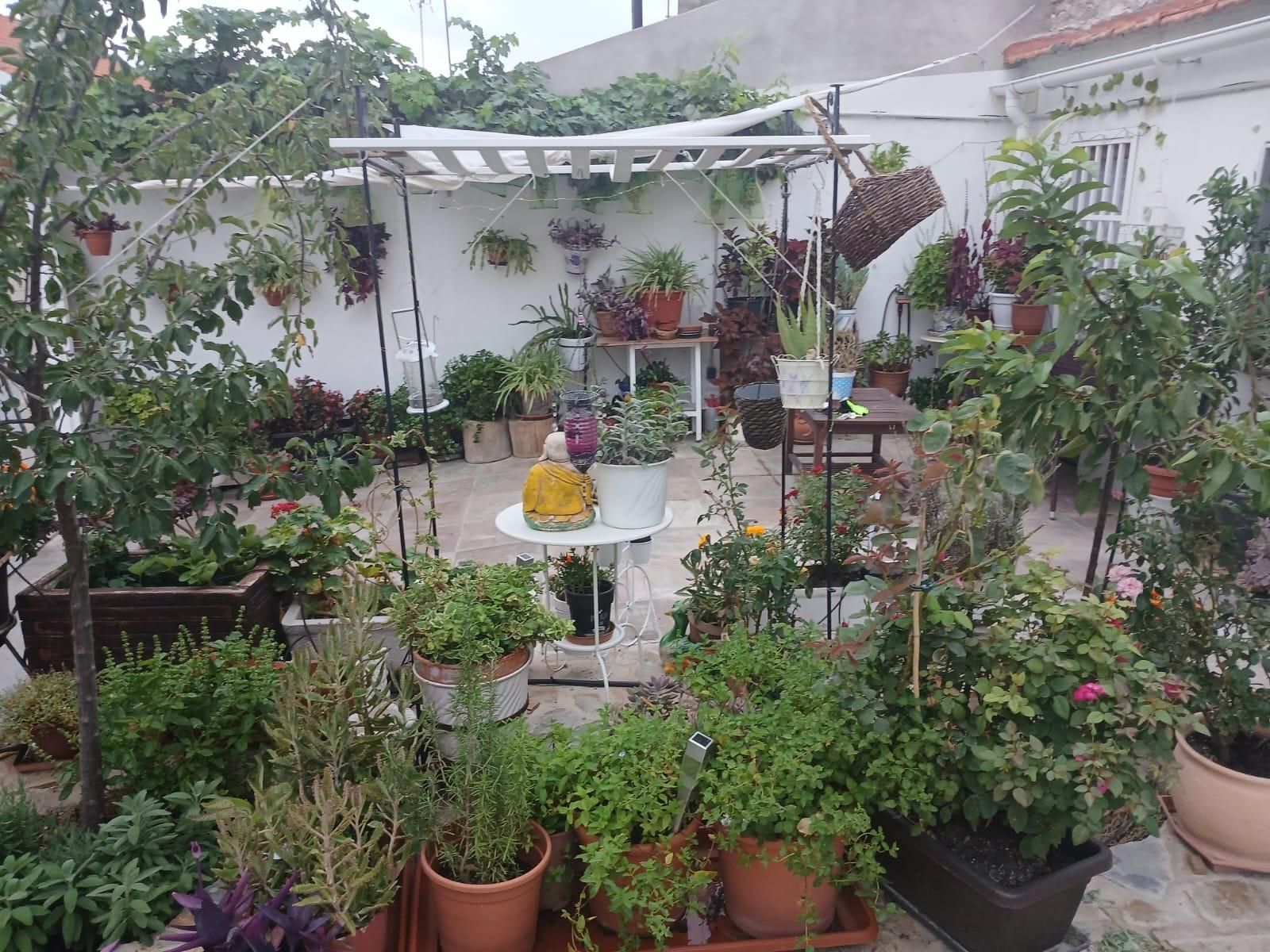 Jardín de Casa o chalet en venta en Titulcia con Amueblado