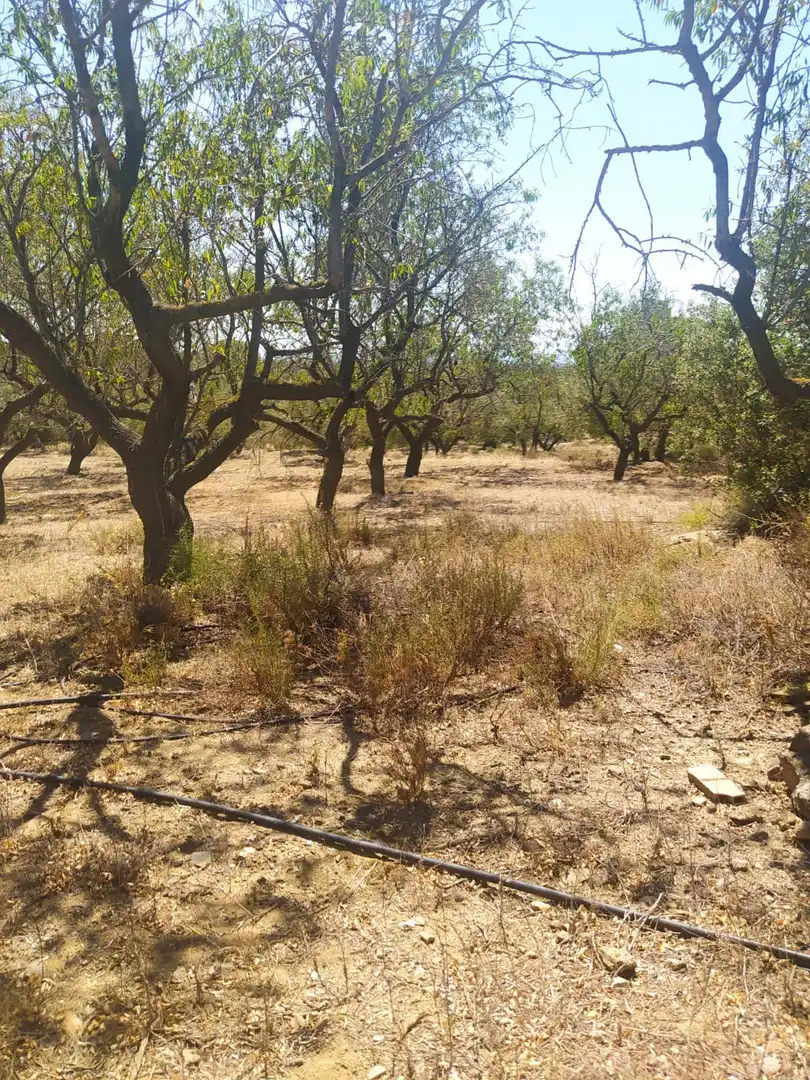 Terreno rustico in vendita a Riudecanyes, imagen 8