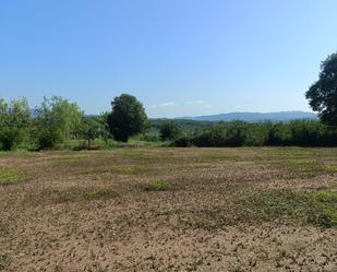 Land for sale in Jérica