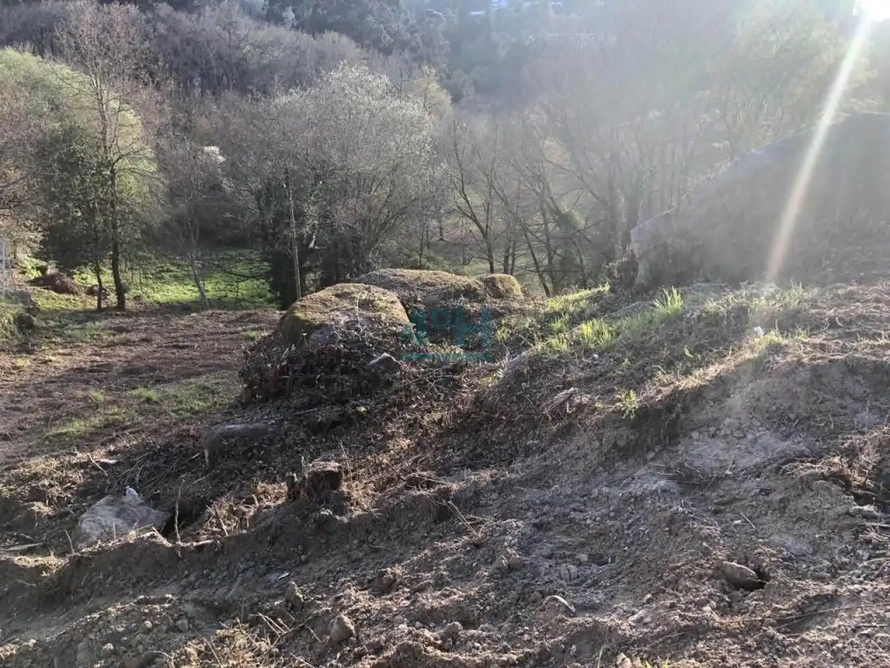 Terreni e lotti in vendita a O Pereiro de Aguiar, imagen 5