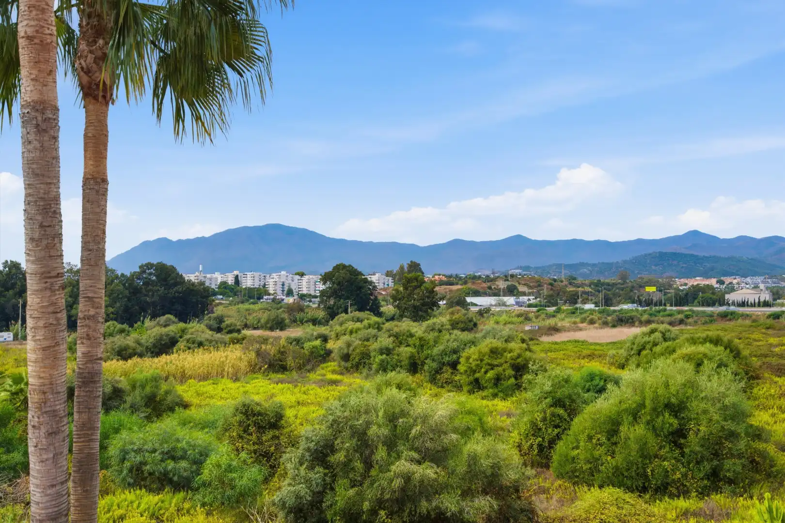 Àtic amb piscina en venda a Benamara - Atalaya, imagen 17