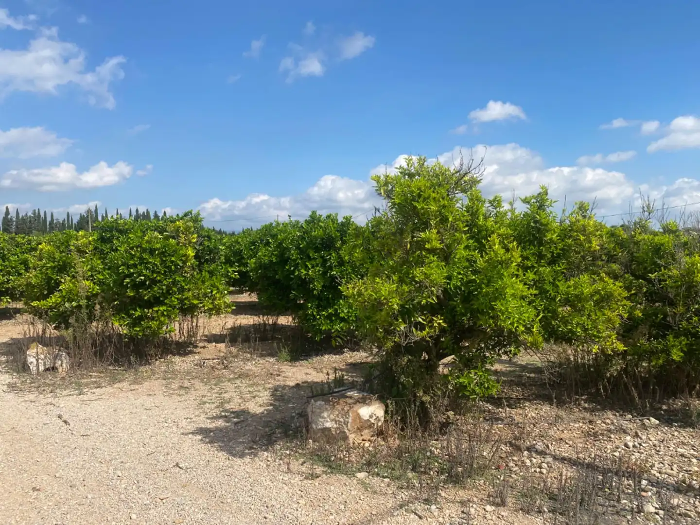 Casa rústica con terraza en venta en Masdenverge, imagen 10